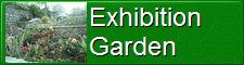 Exhibition Garden Dublin